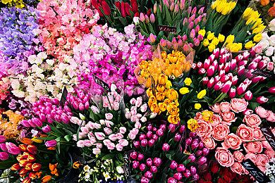 粉丝通过《星空》视频镜头反推出游戏地图 太强了