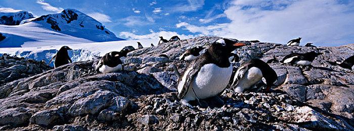 姆巴佩坐上板凳席 《EA Sports FC 24》封面球星泄露